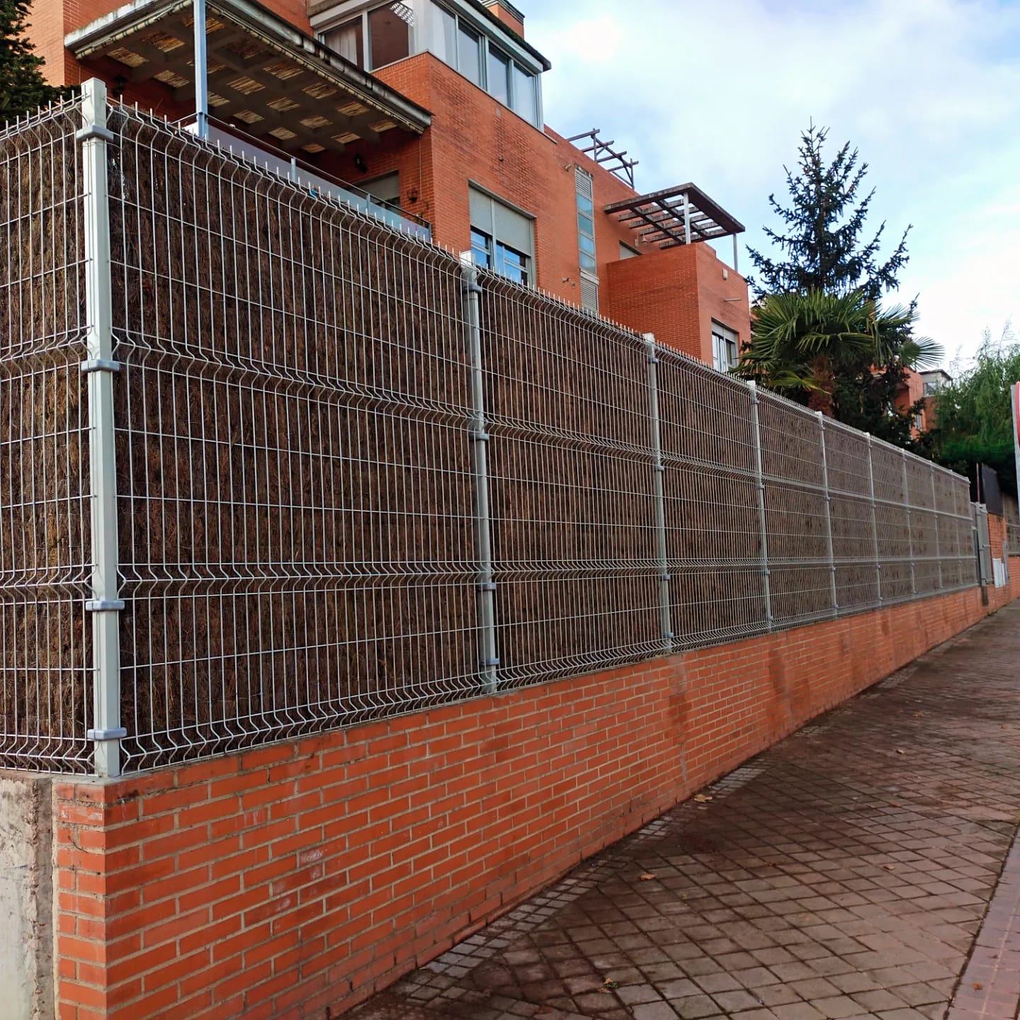 IMG-20241228-WA0013 brezo ocultacion 100%