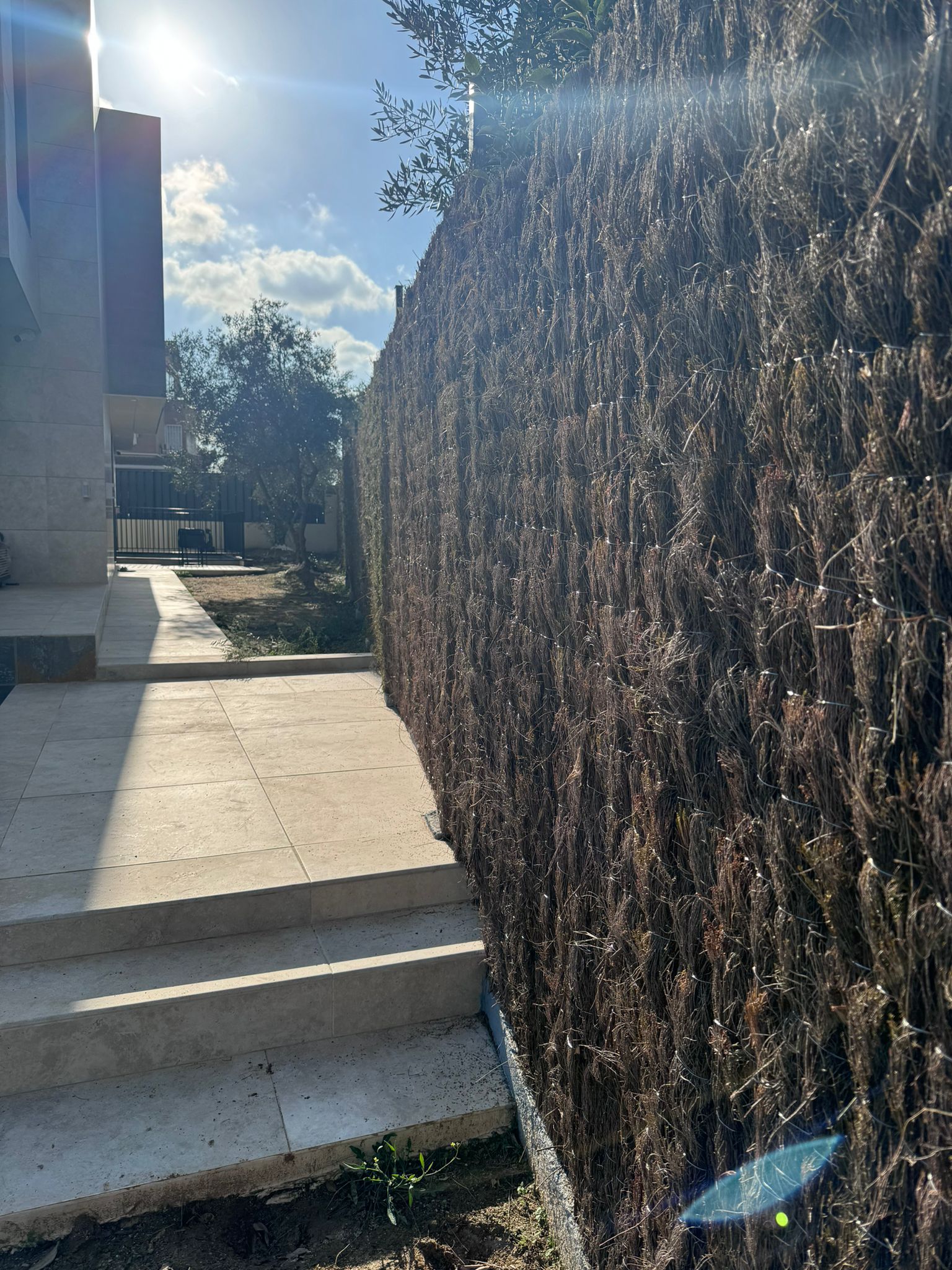 IMG-20241228-WA0016 brezo 2.5m