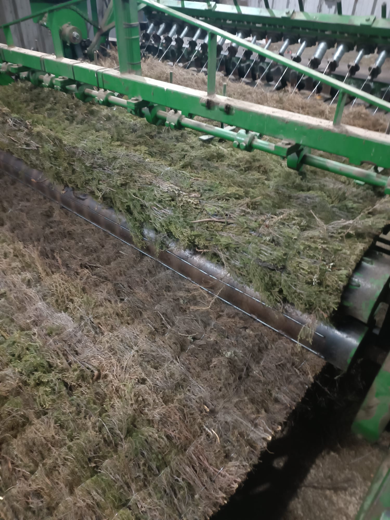 IMG-20241228-WA0031 brezo 1m