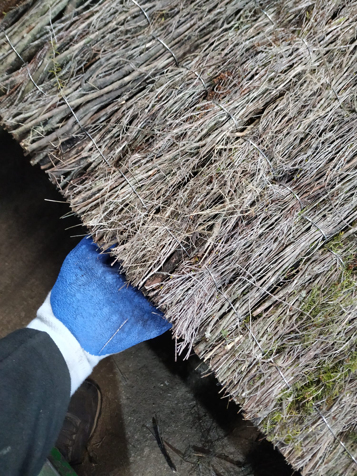 Imagen de WhatsApp 2024-12-28 a las 16.09.17_716cb7a9 brezo 1,5